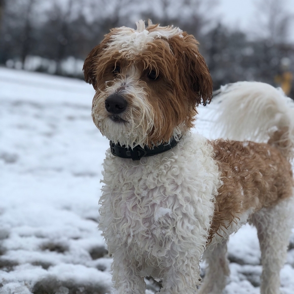 Welcome to my closet! ❤️🌎♻️ - Picture 5 of 14